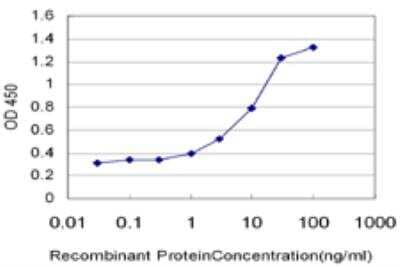 ELISA: TRUSS Antibody (3G4) [H00026133-M07] - Detection limit for recombinant GST tagged TRPC4AP is approximately 0.03ng/ml as a capture antibody.