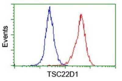 Flow Cytometry: TSC22/TSC22D1 Antibody (OTI4H8) - Azide and BSA Free [NBP2-74654] - Analysis of Hela cells, using TSC22D1 antibody (Red), compared to a nonspecific negative control antibody (Blue).