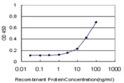 Sandwich ELISA: TSC22D4 Antibody (1C12) [H00081628-M08] - Detection limit for recombinant GST tagged TSC22D4 is approximately 1ng/ml as a capture antibody.