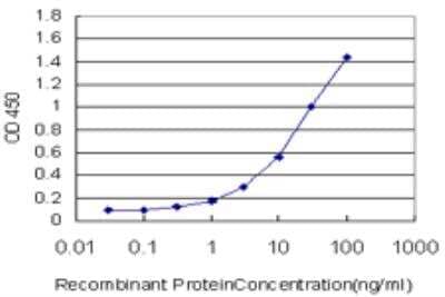 ELISA: TSC22D4 Antibody (4G7) [H00081628-M07] - Detection limit for recombinant GST tagged TSC22D4 is approximately 0.3ng/ml as a capture antibody.