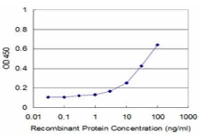 Sandwich ELISA: TSPAN1 Antibody (3B4) [H00010103-M05] - Detection limit for recombinant GST tagged TSPAN1 is approximately 3ng/ml as a capture antibody.