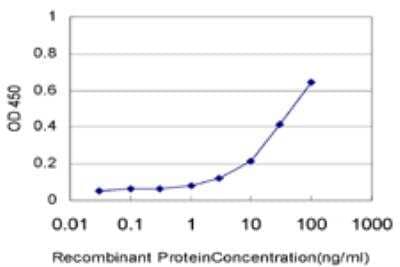 ELISA: TSSK2 Antibody (1F6) [H00023617-M03] - Detection limit for recombinant GST tagged TSSK2 is approximately 1ng/ml as a capture antibody.