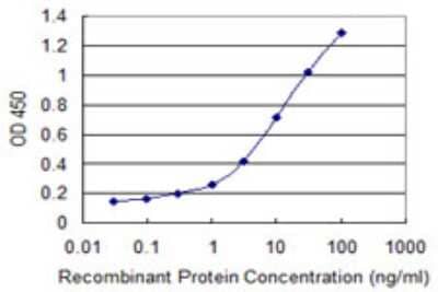 Sandwich ELISA: TTL Antibody (1B2) [H00150465-M02] - Detection limit for recombinant GST tagged TTL is 0.1 ng/ml as a capture antibody.