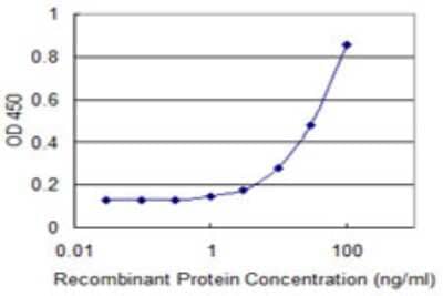 Sandwich ELISA: TTLL1 Antibody (2C6) [H00025809-M08] - Detection limit for recombinant GST tagged TTLL1 is 1 ng/ml as a capture antibody.