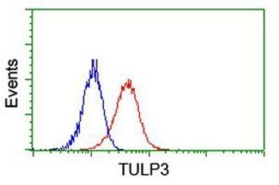Flow Cytometry: TULP3 Antibody (OTI7B8) - Azide and BSA Free [NBP2-74721] - Analysis of Jurkat cells, using anti-TULP3 antibody, (Red), compared to a nonspecific negative control antibody (Blue).