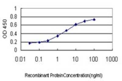 Sandwich ELISA: TWEAK/TNFSF12 Antibody (4H3) [H00008742-M01] - Detection limit for recombinant GST tagged TNFSF12 is approximately 0.03ng/ml as a capture antibody.
