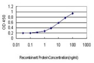 Sandwich ELISA: TXNL1 Antibody (1A10) [H00009352-M01] - Detection limit for recombinant GST tagged TXNL1 is approximately 1ng/ml as a capture antibody.