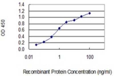 Sandwich ELISA: TXNL6 Antibody (7H3) [H00115861-M01] - Detection limit for recombinant GST tagged NXNL1 is 0.03 ng/ml as a capture antibody.