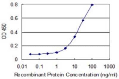 Sandwich ELISA: Testican 3/SPOCK3 Antibody (1A10) [H00050859-M01] - Detection limit for recombinant GST tagged SPOCK3 is 1 ng/ml as a capture antibody.
