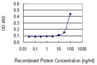 ELISA: Testisin/Prss21 Antibody (2E10) [H00010942-M01] - Detection limit for recombinant GST tagged PRSS21 is 10 ng/ml as a capture antibody.