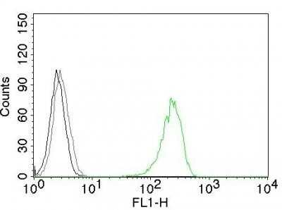 Flow Cytometry: TfR (Transferrin R) Antibody (66IG10) - Azide and BSA Free [NBP2-34542] - Flow Cytometry of human CD71 on K562 cells. Black: Cells alone; Grey: Isotype Control; Green: AF488-labeled CD71 Monoclonal Antibody (66IG10).