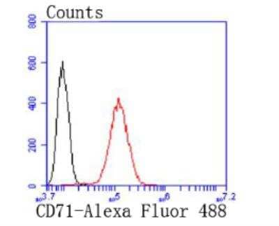 Flow Cytometry: TfR (Transferrin R) Antibody (JF0956) [NBP2-67189] - Analysis of Hela cells with Transferrin Receptor antibody at 1/50 dilution (red) compared with an unlabelled control (cells without incubation with primary antibody; black). Alexa Fluor 488-conjugated goat anti rabbit IgG was used as the secondary antibody