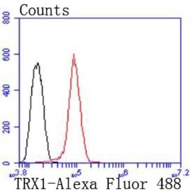 Flow Cytometry: Thioredoxin-1 Antibody (JF101-8) [NBP2-67195] - Analysis of Hela cells with TRX1 antibody at 1/50 dilution (red) compared with an unlabelled control (cells without incubation with primary antibody; black). Alexa Fluor 488-conjugated goat anti rabbit IgG was used as the secondary antibody.