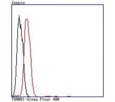 Flow Cytometry: Thioredoxin Reductase 1/TRXR1 Antibody (JA11-32) [NBP2-67194] - Flow cytometric analysis of SH-SY5Y cells with Thioredoxin Reductase 1/TRXR1 antibody at 1/100 dilution (red) compared with an unlabeled control (cells without incubation with primary antibody; black).