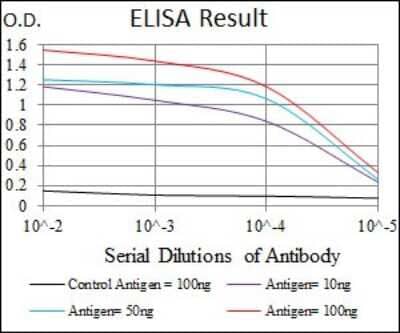 ELISA: Thrombopoietin R/Tpo R Antibody (1H2) [NBP2-37529] - Red: Control Antigen (100ng); Purple: Antigen (10ng); Green: Antigen (50ng); Blue: Antigen (100ng);