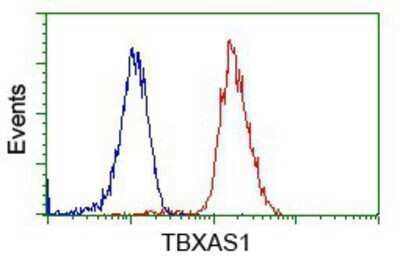 Flow Cytometry: Thromboxane synthase Antibody (OTI2C1) - Azide and BSA Free [NBP2-74505] - Analysis of Jurkat cells, using anti-Thromboxane synthase antibody, (Red), compared to a nonspecific negative control antibody (Blue).