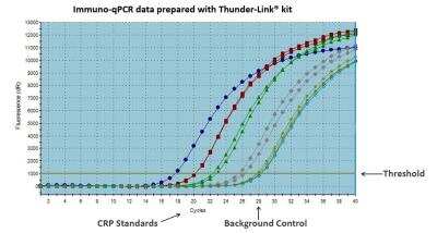In vitro assay: Thunder-Link (R) PLUS oligo Antibody Labeling Kit [425-0000] - Immuno-qPCR data generated using Thunder-Link. A mouse monoclonal antibody specific for human CRP (clone C7) was purchased in unconjugated format from HyTest. The antibody was conjugated to an oligonucleotide using a Thunder-Link kit, and was used as a detection antibody in a sandwich immuno-PCR assay with a polyclonal anti-CRP antibody as the capture reagent. The graph shows a plot of the number of PCR cycles undertaken vs. fluorescence intensity generated by SYBR Green containing PCR probes at particular antigen concentrations.