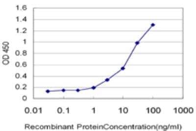 ELISA: Thymidine Kinase 1 Antibody (3F9) [H00007083-M05] - Detection limit for recombinant GST tagged TK1 is approximately 1ng/ml as a capture antibody.