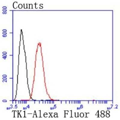 Flow Cytometry: Thymidine Kinase 1 Antibody (JF0970) [NBP2-67199] - Analysis of Hela cells with Thymidine Kinase 1 antibody at 1/50 dilution (red) compared with an unlabelled control (cells without incubation with primary antibody; black). Alexa Fluor 488-conjugated goat anti rabbit IgG was used as the secondary antibody