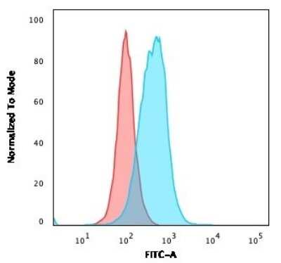 Flow Cytometry: Thymidylate Synthase Antibody (TYMS/1884) [NBP3-08882] - Flow Cytometric Analysis of PFA-fixed Ramos cells. Thymidylate Synthase Monospecific Mouse Monoclonal Antibody followed by goat anti- Mouse IgG-CF488 (Blue); Isotype Control (Red).