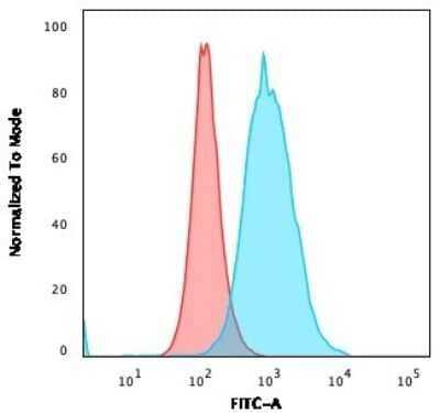 Flow Cytometry: Thymidylate Synthase Antibody (rTYMS/1884) - Azide and BSA Free [NBP3-08887] - Flow Cytometric Analysis of PFA-fixed MOLT4 cells. Thymidylate Synthase Recombinant Mouse Monoclonal Antibody (rThymidylate Synthase/1884) followed by goat anti- Mouse IgG-CF488 (Blue); Isotype Control (Red).