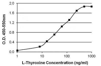 ELISA: Thyroxine Antibody (T4YCH) [NBP1-78604] - Direct ELISA analysis of L-Thyroxine was performed by coating wells of a 96-well plate with 100 uL per well of L-Thyroxine-bsa conjugated protein diluted in carbonate/bicarbonate buffer.