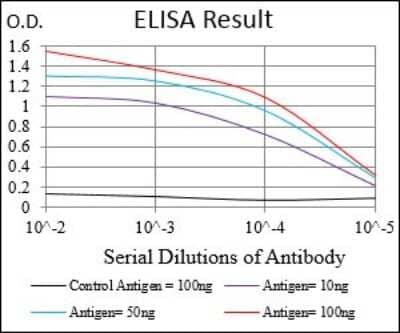 ELISA: Tie-1 Antibody (8D12B10) [NBP2-37270] - Red: Control Antigen (100ng); Purple: Antigen (10ng); Green: Antigen (50ng); Blue: Antigen (100ng);