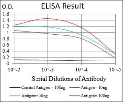 ELISA: Tie-1 Antibody (8D12D2) [NBP2-37267] - Red: Control Antigen (100ng); Purple: Antigen (10ng); Green: Antigen (50ng); Blue: Antigen (100ng);