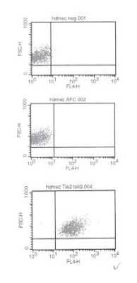 Flow Cytometry: Tie-2 Antibody (tek9) [NBP1-18614] - FACS analysis with primary human dermal microvascular endothelial cells (HDMVEC).