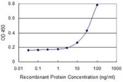 Sandwich ELISA: Transcobalamin II Antibody (2F4) [H00006948-M01] - Detection limit for recombinant GST tagged TCN2 is 1 ng/ml as a capture antibody.