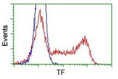 Flow Cytometry: Transferrin Antibody (OTI5G2) - Azide and BSA Free [NBP2-74583] - HEK293T cells transfected with either overexpression plasmid (Red) or empty vector control plasmid (Blue) were immunostaining by anti-Transferrin antibody, and then analyzed by flow cytometry.