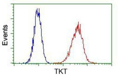 Flow Cytometry: Transketolase Antibody (5H3) [NBP2-02292] - Analysis of Hela cells, using anti-Transketolase antibody, (Red) compared to a nonspecific negative control antibody (Blue).