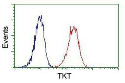 Flow Cytometry: Transketolase Antibody (OTI5H3) - Azide and BSA Free [NBP2-74585] - Analysis of Jurkat cells, using anti-Transketolase antibody, (Red) compared to a nonspecific negative control antibody (Blue).