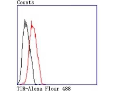 Flow Cytometry: Transthyretin/Prealbumin Antibody (JM11-43) [NBP2-67227] - Analysis of MCF-7 cells with TTR antibody at 1/50 dilution (red) compared with an unlabelled control (cells without incubation with primary antibody; black). Alexa Fluor 488-conjugated goat anti rabbit IgG was used as the secondary antibody.