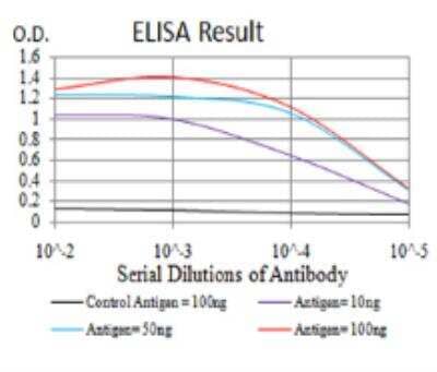 ELISA: TrkB Antibody (8D2E8) [NBP2-52523] - Black line: Control Antigen (100 ng); Purple line: Antigen(10ng); Blue line: Antigen (50 ng); Red line: Antigen (100 ng);