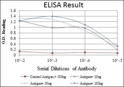 ELISA: Troponin I type 2 (fast skeletal) Antibody (2F12A8) [NBP2-37549] - Red: Control Antigen (100ng); Purple: Antigen (10ng); Green: Antigen (50ng); Blue: Antigen (100ng);