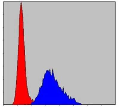 Flow Cytometry: Troponin I type 2 (fast skeletal) Antibody (2F12A8) [NBP2-37549] - Flow cytometric analysis of NIH/3T3 cells using TNNI2 mouse mAb (blue) and negative control (red).