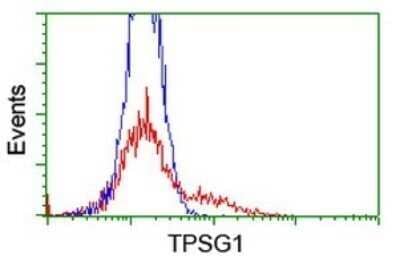 Flow Cytometry: Tryptase gamma-1/TPSG1 Antibody (OTI1E11) - Azide and BSA Free [NBP2-74649] - Analysis of HEK293T cells transfected with either overexpress plasmid(Red) or empty vector control plasmid(Blue) were immunostaining by TPSG1 antibody.