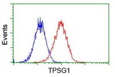 Flow Cytometry: Tryptase gamma-1/TPSG1 Antibody (OTI1G1) - Azide and BSA Free [NBP2-74652] - Flow cytometric Analysis of Hela cells, using anti-TPSG1 antibody (NBP2-01679),(Red), compared to a nonspecific negative control antibody (Blue).