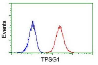 Flow Cytometry: Tryptase gamma-1/TPSG1 Antibody (OTI1G1) - Azide and BSA Free [NBP2-74652] - Flow cytometric Analysis of Jurkat cells, using anti-TPSG1 antibody (NBP2-01679),(Red), compared to a nonspecific negative control antibody (Blue).