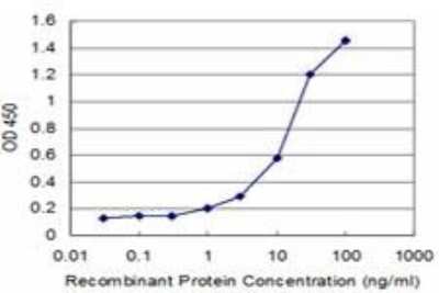 ELISA: Tryptophan rich protein Antibody (4D6) [H00007485-M05] - Detection limit for recombinant GST tagged WRB is approximately 1ng/ml as a capture antibody.