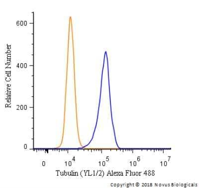 Flow Cytometry: Tubulin Antibody (YL1/2) [Alexa Fluor® 488] [NB600-506AF488] - An intracellular stain was performed on NIH3T3 cells with Tubulin [YL1/2] Antibody NB600-506AF488 (blue) and a matched isotype control (orange). Cells were fixed with 4% PFA and then permeabilized with 0.1% saponin. Cells were incubated in an antibody dilution of 5 ug/mL for 30 minutes at room temperature. Both antibodies were conjugated to Alexa Fluor 488.