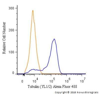 Flow Cytometry: Tubulin Antibody (YL1/2) [Alexa Fluor® 488] [NB600-506AF488] - An intracellular stain was performed on PC12 cells with Tubulin [YL1/2] Antibody NB600-506AF488 (blue) and a matched isotype control (orange). Cells were fixed with 4% PFA and then permeabilized with 0.1% saponin. Cells were incubated in an antibody dilution of 5 ug/mL for 30 minutes at room temperature. Both antibodies were conjugated to Alexa Fluor 488.