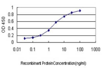 Sandwich ELISA: Tubulin Beta 2C Antibody (1F9) [H00010383-M01] - Detection limit for recombinant GST tagged TUBB4B is approximately 0.03ng/ml as a capture antibody.