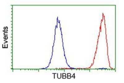 Flow Cytometry: Tubulin Beta 4 Antibody (OTI3F1) - Azide and BSA Free [NBP2-74713] - Analysis of Hela cells, using anti-Tubulin Beta 4 antibody, (Red), compared to a nonspecific negative control antibody (Blue).