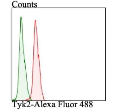 Flow Cytometry: Tyk2 Antibody [NBP2-76968] - Flow cytometric analysis of MCF-7 cells with TYK2 antibody at 1/100 dilution (red) compared with an unlabelled control (cells without incubation with primary antibody; green). Alexa Fluor 488-conjugated goat anti-rabbit IgG was used as the secondary antibody.