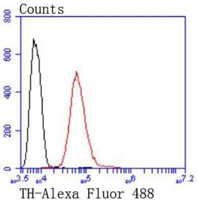 Flow Cytometry: Tyrosine Hydroxylase Antibody (SD080-02) [NBP2-67797] - Flow cytometric analysis of SH-SY-5Y cells with Tyrosine Hydroxylase antibody at 1:50 dilution (red) compared with an unlabelled control (cells without incubation with primary antibody; black). Alexa Fluor 488-conjugated goat anti rabbit IgG was use as the secondary antibody.