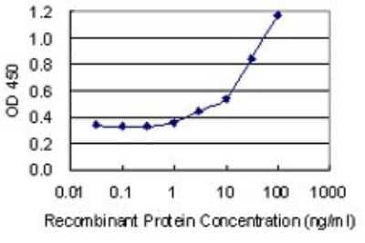 Sandwich ELISA: U2AF2 Antibody (5G8) [H00011338-M03] - Detection limit for recombinant GST tagged U2AF2 is 0.3 ng/ml as a capture antibody.