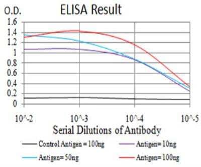 ELISA: UAP56 Antibody (3A2B2) [NBP2-52456] - Black line: Control Antigen (100 ng); Purple line: Antigen(10ng); Blue line: Antigen (50 ng); Red line: Antigen (100 ng).