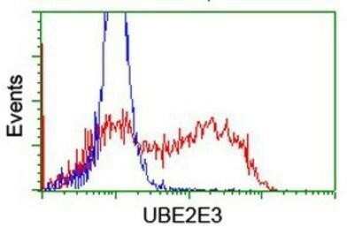 Flow Cytometry: UBE2E3 Antibody (OTI7E8) - Azide and BSA Free [NBP2-74745] - HEK293T cells transfected with either overexpression plasmid (Red) or empty vector control plasmid (Blue) were immunostaining by anti-UBE2E3 antibody, and then analyzed by flow cytometry.